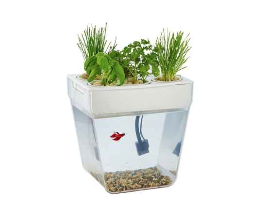 Набор для выращивания растений и ухода за рыбкой Акваферма, 607701