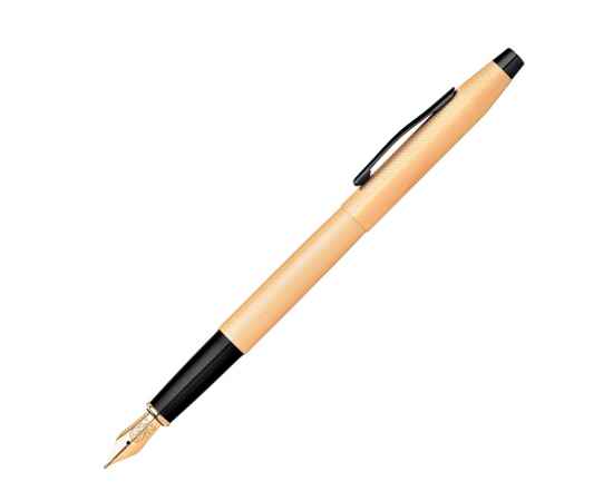 Ручка перьевая  Classic Century Brushed, 421246, Цвет: золотистый