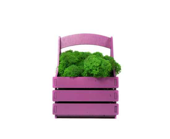 Композиция Корзинка со мхом, 4500606, Цвет: зеленый,фиолетовый