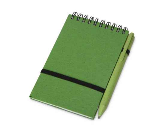 Блокнот Toledo S с шариковой ручкой из пшеницы и пластика, В7, 1142033, Цвет: зеленый,зеленый, Размер: В7