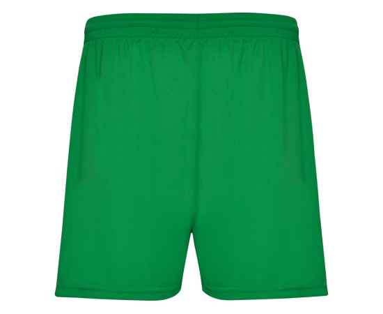 Спортивные шорты Calcio мужские, L, 4840226L, Цвет: зеленый, Размер: L