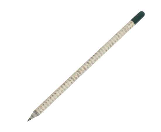 Растущий карандаш с семенами базилика, 220250, Цвет: зеленый,белый,светло-серый