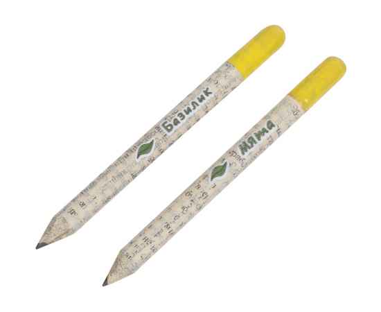 Набор Растущий карандаш mini, 2 шт. с семенами базилика и мяты, 220253, Цвет: белый,желтый,светло-серый