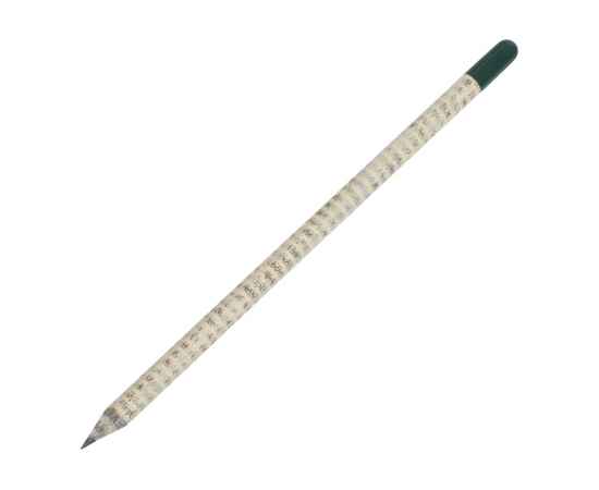 Растущий карандаш с семенами мяты, 220251, Цвет: белый,светло-серый,зеленый