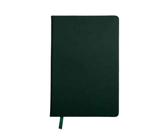 Ежедневник недатированный А5 Loft, 3-675.03, Цвет: зеленый