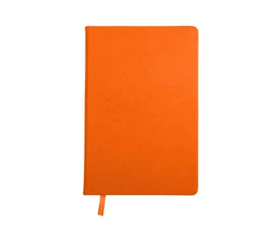 Ежедневник недатированный А5 Loft, 3-675.07, Цвет: оранжевый