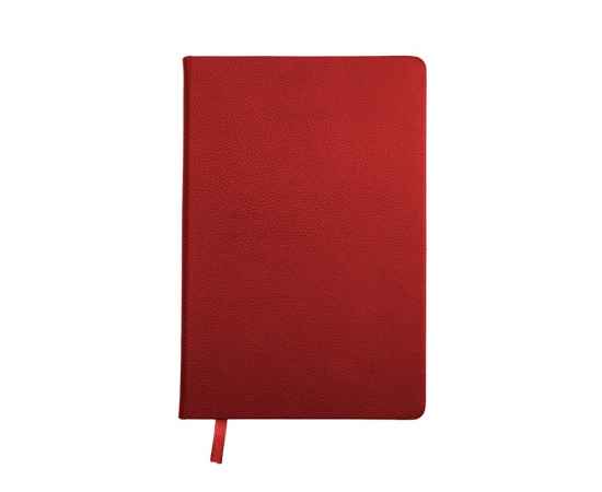 Ежедневник недатированный А5 Loft, 3-675.05, Цвет: красный
